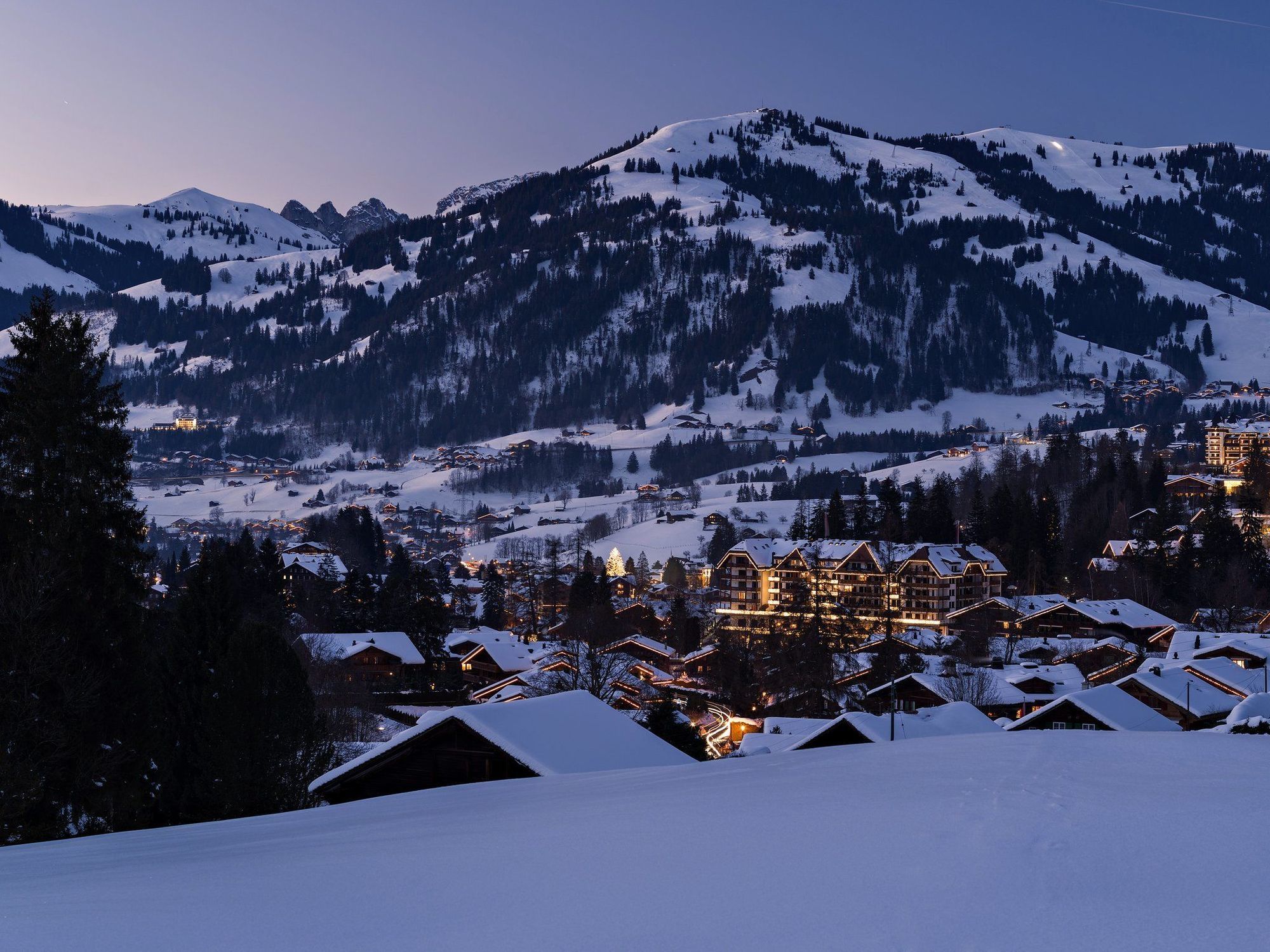 Chalet Grand View - Gstaad Saanen Dış mekan fotoğraf